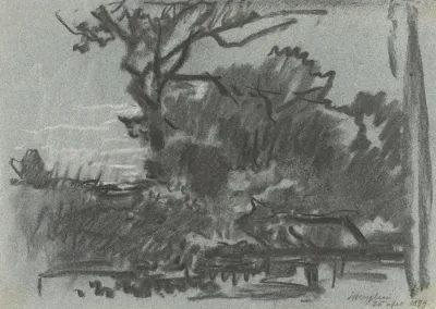 Forest Scene 7