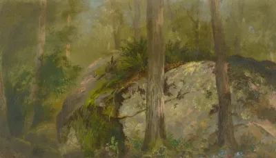 Forest Scene 8