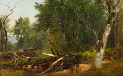 Forest Scene In The Catskills
