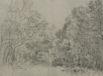 Forest Section 2 2