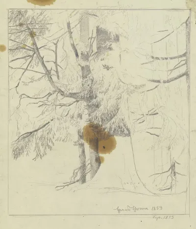 Forest Section 2