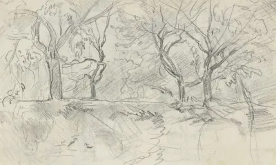 Forest Section