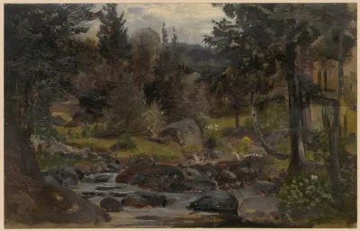 Forest Stream In Przesieka