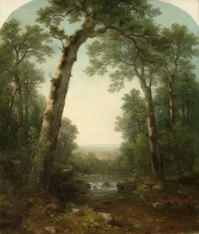 Forest Stream With Vista