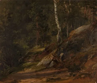 Forest Study From Romsdal