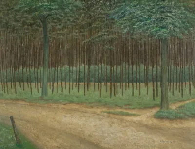 Forest Trail