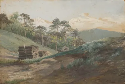 Forest Valley With Wood Logs
