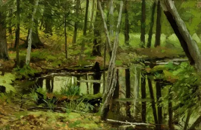 Forest Wilderness