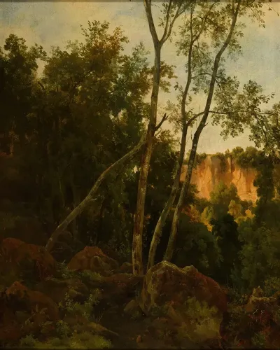 Foret Avec Rochers