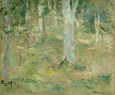 Foret De Compiegne