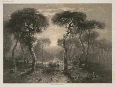 Foret De Sierre En Valais