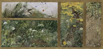 Four Bird Studies Red Backed Shrike Corncrake Chaffinches Willow Warbler