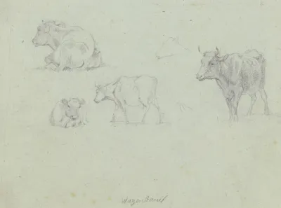Four Cattle