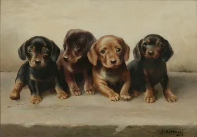 Four Dachshund Puppies