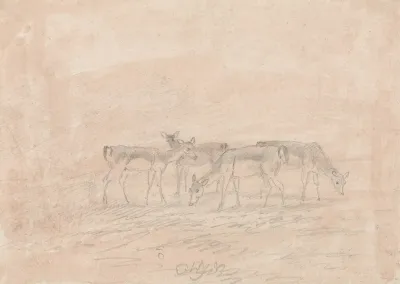 Four Deer
