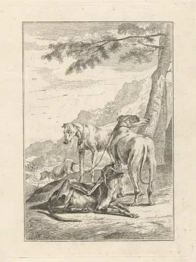 Four Dogs