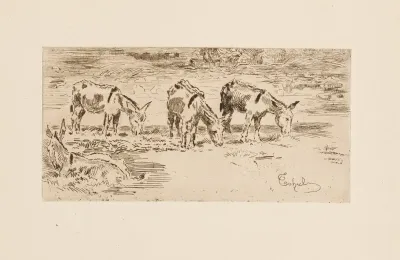Four Donkeys In A Meadow