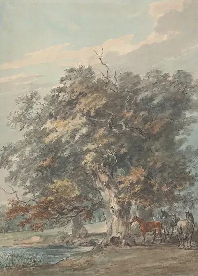 Four Horses Standing In A Group In The Shade Of Large Trees By Water