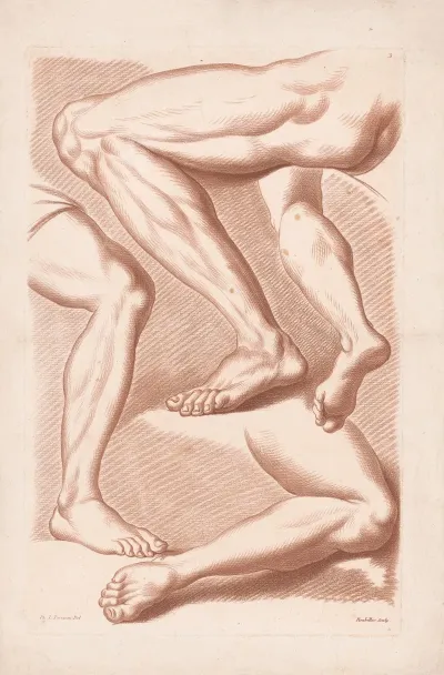 Four Legs In Various Poses