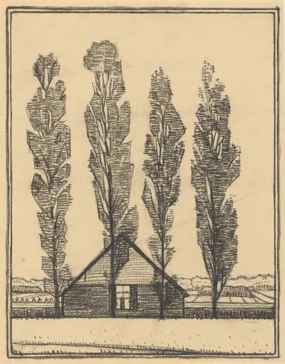 Four Poplars In Front Of A House