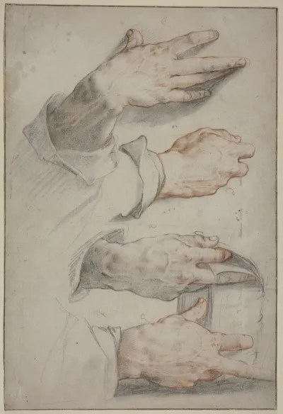 Four Studies Of A Right Hand