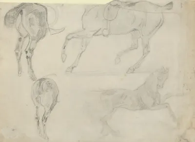 Four Studies Of Horses