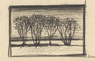 Four Trees In A Row