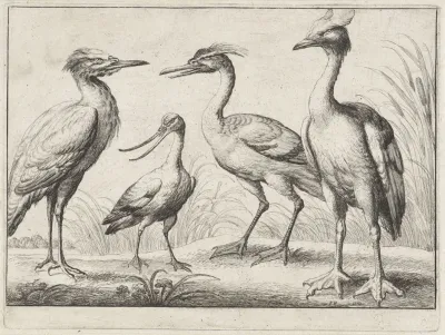 Four Wading Birds Standing On A River Bank