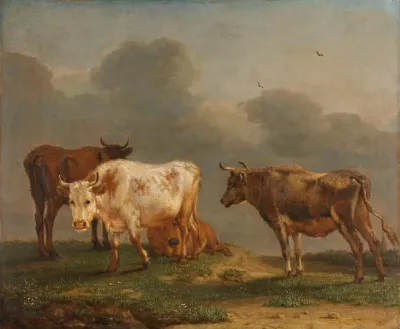 Four Young Bulls In A Meadow