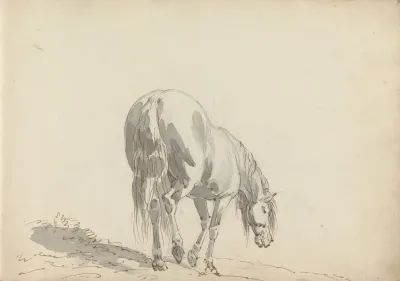 Fourty Three Studies Of Horses And Riders Pl 02