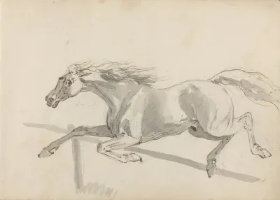 Fourty Three Studies Of Horses And Riders Pl 04