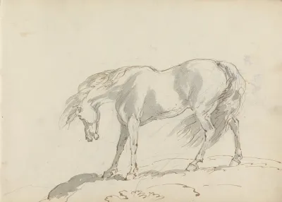 Fourty Three Studies Of Horses And Riders Pl 06