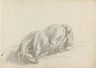 Fourty Three Studies Of Horses And Riders Pl 07