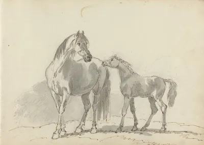 Fourty Three Studies Of Horses And Riders Pl 08