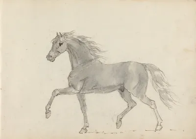 Fourty Three Studies Of Horses And Riders Pl 09