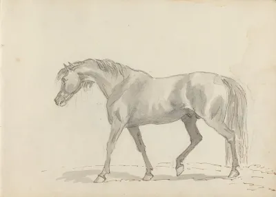 Fourty Three Studies Of Horses And Riders Pl 10