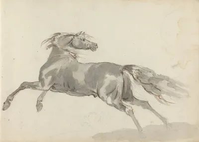 Fourty Three Studies Of Horses And Riders Pl 11