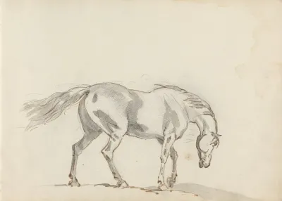 Fourty Three Studies Of Horses And Riders Pl 12