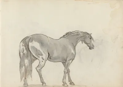 Fourty Three Studies Of Horses And Riders Pl 13