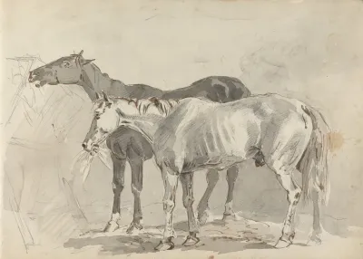 Fourty Three Studies Of Horses And Riders Pl 14