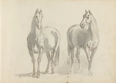 Fourty Three Studies Of Horses And Riders Pl 15