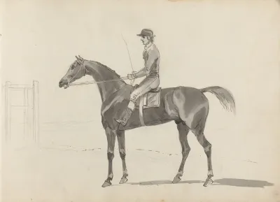 Fourty Three Studies Of Horses And Riders Pl 16