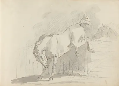 Fourty Three Studies Of Horses And Riders Pl 20
