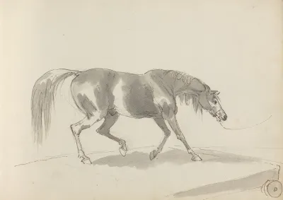 Fourty Three Studies Of Horses And Riders Pl 22
