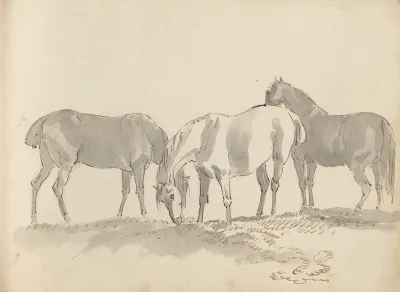 Fourty Three Studies Of Horses And Riders Pl 23
