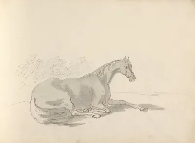 Fourty Three Studies Of Horses And Riders Pl 24