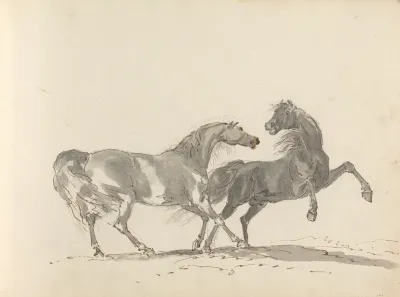 Fourty Three Studies Of Horses And Riders Pl 29