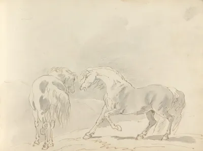 Fourty Three Studies Of Horses And Riders Pl 30