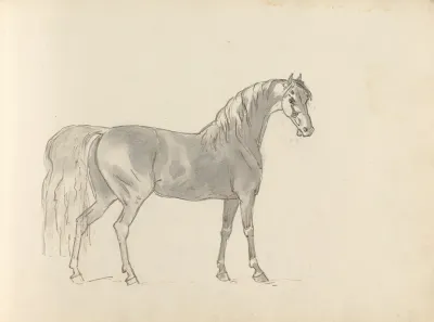 Fourty Three Studies Of Horses And Riders Pl 31