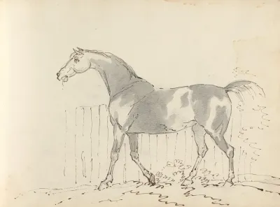 Fourty Three Studies Of Horses And Riders Pl 33